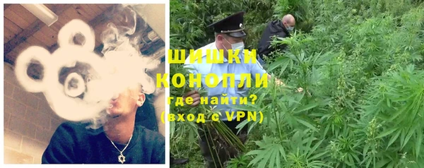 шишки Армянск