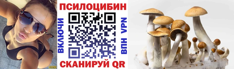 Галлюциногенные грибы мухоморы  Николаевск 